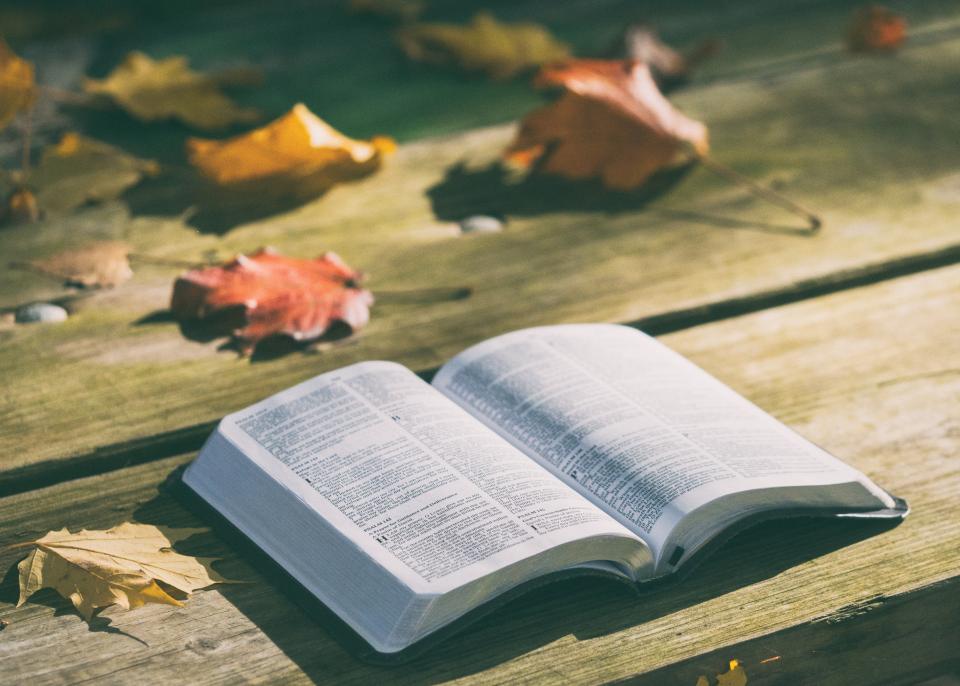 Biblia de Estudio